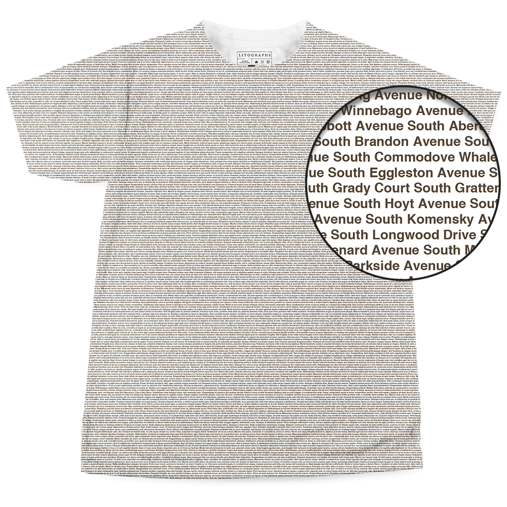 Litographs | The Streets of Chicago | Book T-Shirt